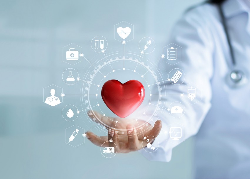 circulo medico rotador 7